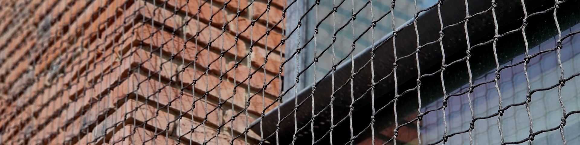 Commercial Bird Control